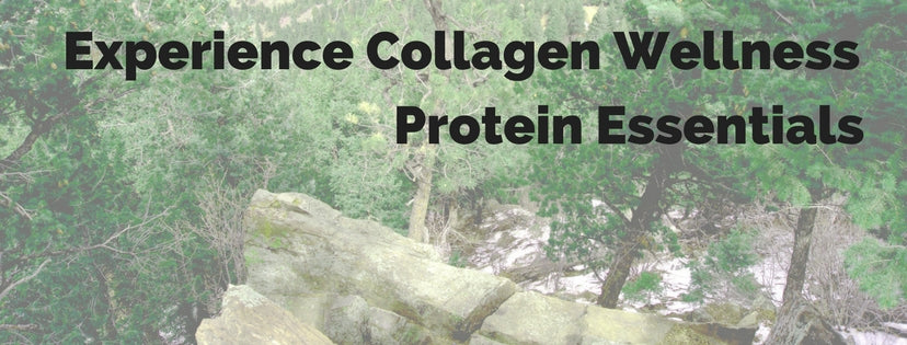 Protein Essentials