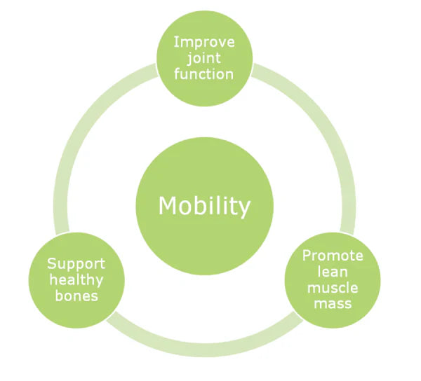 Improve Mobility with Protein Essentials Collagen